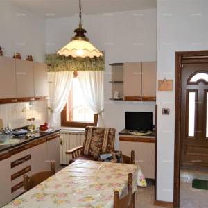 Prodaje se kuća sa šumom u Kašteliru