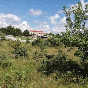 Prodaje se kuća sa šumom u Kašteliru