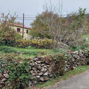 Prodaje se stara kuća ruševina i 16.000 m2 poljoprivrednog zemljišta.