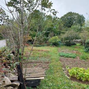 Prodaje se stara kuća ruševina i 16.000 m2 poljoprivrednog zemljišta.