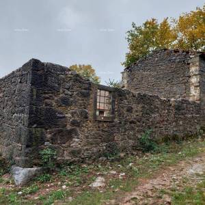 Prodaje se stara kuća ruševina i 16.000 m2 poljoprivrednog zemljišta.