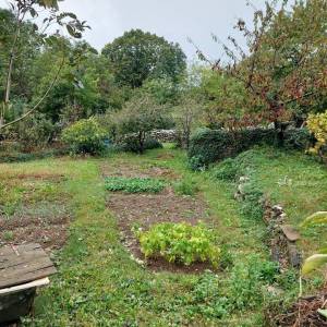 Prodaje se stara kuća ruševina i 16.000 m2 poljoprivrednog zemljišta.