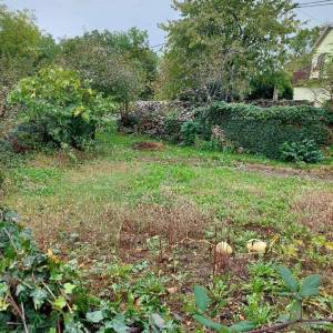 Prodaje se stara kuća ruševina i 16.000 m2 poljoprivrednog zemljišta.