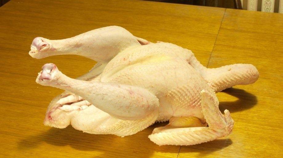 Prodajem Domaće božićne purice 2,5 - 6 kg dostava na kućnu adresu