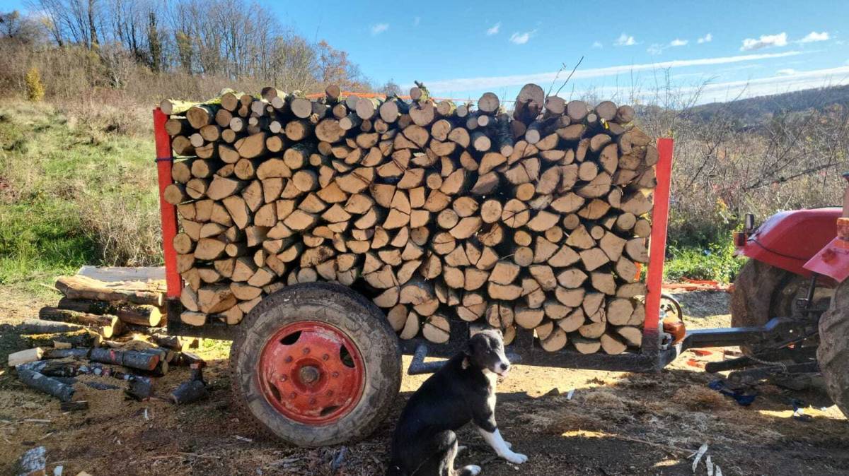 Prodajem drva za ogrijev