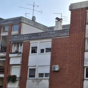 PRODAJEM DVOSOBAN STAN U VALPOVU