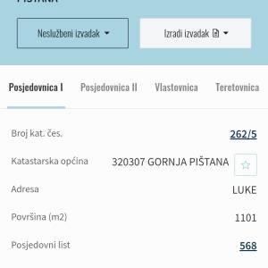 Prodajem zasad mladih orasa.