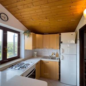 Prodajemo kuću sa sedam apartmana na velikoj okućnici sa bazenom i garažom. Banjole