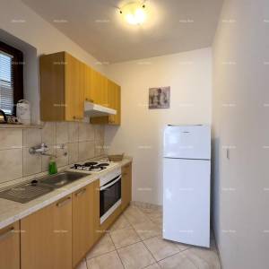 Prodajemo kuću sa sedam apartmana na velikoj okućnici sa bazenom i garažom. Banjole