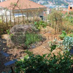 PROSTRAN TROSOBAN STAN SA TERASOM I VRTOM - IZVRSNA LOKACIJA