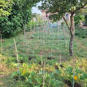 Prostran trosobni stan površine 81 m², neposredna blizina suda, Pula  Veruda