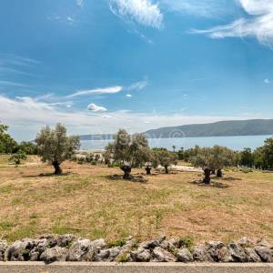 Prvi red do mora, samostojeća vila na 55.000m2 zemljišta