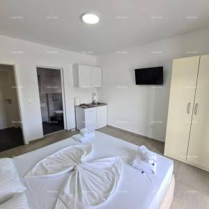 Pula! Kuća s 15 soba i s bazenom! Lokacija Veli vrh.