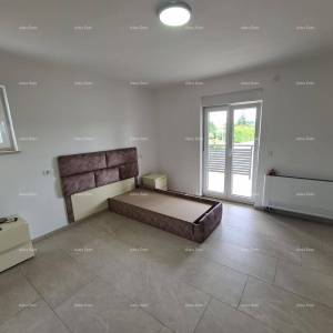 Pula! Kuća s 15 soba i s bazenom! Lokacija Veli vrh.