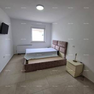 Pula! Kuća s 15 soba i s bazenom! Lokacija Veli vrh.