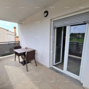 Pula! Kuća s 15 soba i s bazenom! Lokacija Veli vrh.