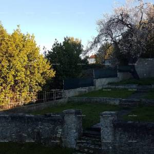 Pula!  Kuća s dva stana i velikim vrtom. Blizina Mup-a.