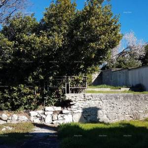 Pula!  Kuća s dva stana i velikim vrtom. Blizina Mup-a.