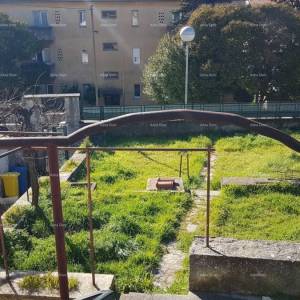 Pula!  Kuća s dva stana i velikim vrtom. Blizina Mup-a.