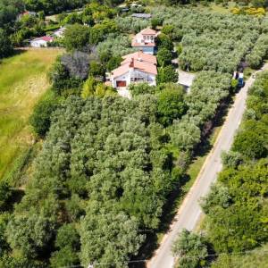 Pula Savršen mir i potencijal: nekretnina s 12 spavaćih soba, bazenom i prekrasnim pogledom na more u Pomeru