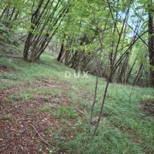 RIJEKA, VIŠKOVO - Poljoprivredno zemljište