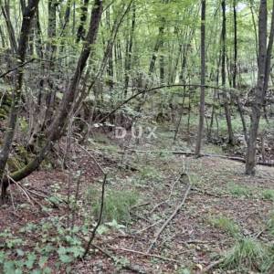 RIJEKA, VIŠKOVO - Poljoprivredno zemljište