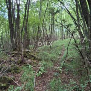 RIJEKA, VIŠKOVO - Poljoprivredno zemljište