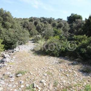 Rogoznica,Ražanj,građevinsko zemljište.