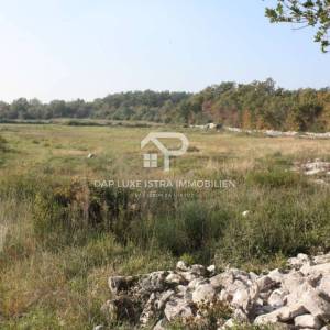 Rovinj prekrasno poljoprivredno zemljište 1km od mora 