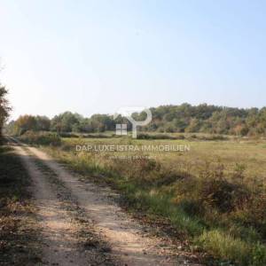 Rovinj prekrasno poljoprivredno zemljište 1km od mora 