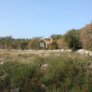 Rovinj prekrasno poljoprivredno zemljište 1km od mora 