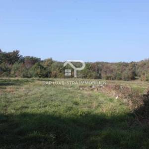 Rovinj prekrasno poljoprivredno zemljište 1km od mora 