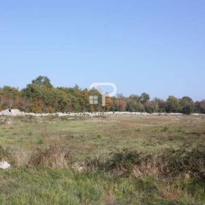 Rovinj prekrasno poljoprivredno zemljište 1km od mora 