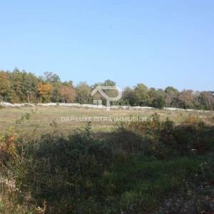 Rovinj prekrasno poljoprivredno zemljište 1km od mora 