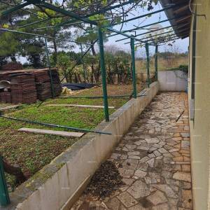 Rovinj – prizemnica s bazenom i velikom parcelom (68 m²)