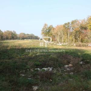 Rovinj - veliko poljoprivredno zemljište 200m od mora