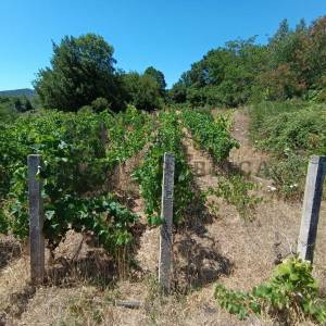 RUŠEVINA I GRAĐEVINSKO ZEMLJIŠTE - PRILIKA!