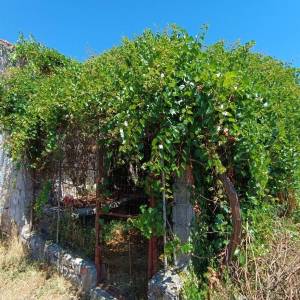 RUŠEVINA I GRAĐEVINSKO ZEMLJIŠTE - PRILIKA!