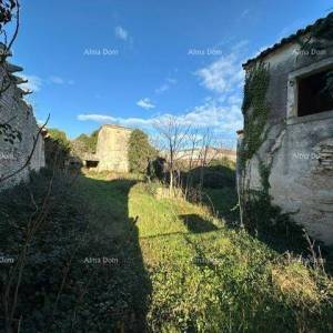 Ruševina u Šišanu