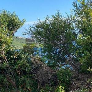 RUŠEVINE SA ZEMLJIŠTEM U PLATU - DUBROVNIK