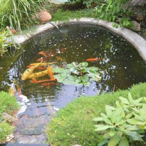 Samostojeća u blizini plaže!  Banjole.