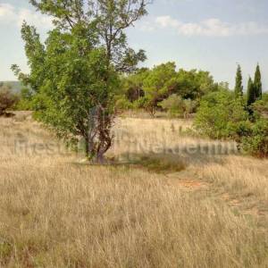 SELINE-STARIGRAD- GRAĐEVINSKO ZEMLJIŠTE 1531m2