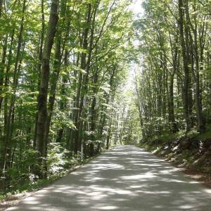 SENJ, KRIVI PUT, građevinsko zemljište