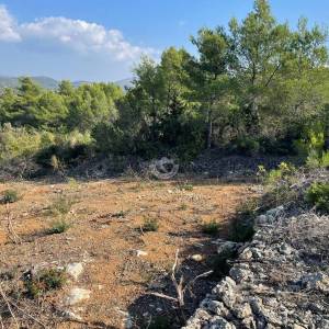 Šibenik - Bilice, građevinsko zemljište 5000 m2, pogled na more