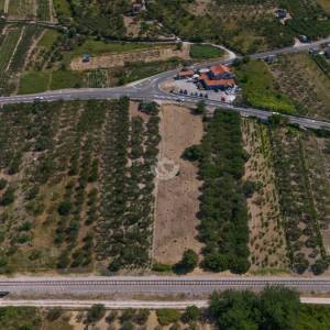 Šibenik, Jadrtovac - Građevinsko i Pašno Zemljište 3978m2 u Atraktivnoj Lokaciji