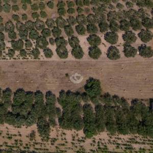 Šibenik, Jadrtovac - Građevinsko i Pašno Zemljište 3978m2 u Atraktivnoj Lokaciji