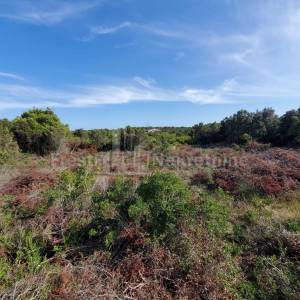 SILBA - GRAĐ. ZEMLJ. - 1.910m2***PRILIKA***