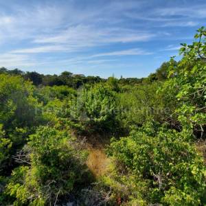 SILBA - GRAĐEVINSKO ZEMLJIŠTE - PRILIKA - 5772m2