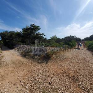 SILBA - GRAĐEVINSKO ZEMLJIŠTE - PRILIKA - 5772m2