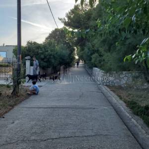 SILBA - GRAĐEVINSKO ZEMLJIŠTE - PRILIKA - 5772m2